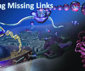 Expressing Missing Links